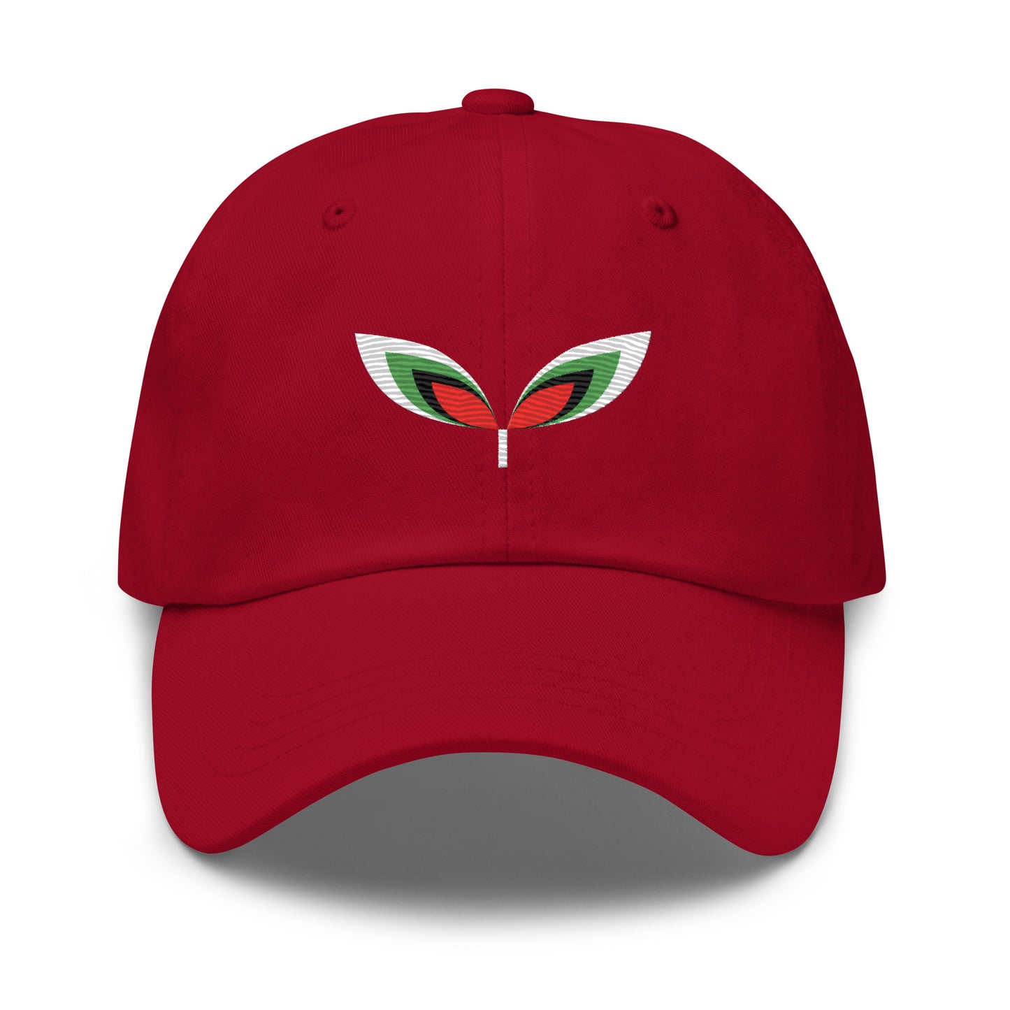 FALASTIN CRANBERRY CAP (FRONT)