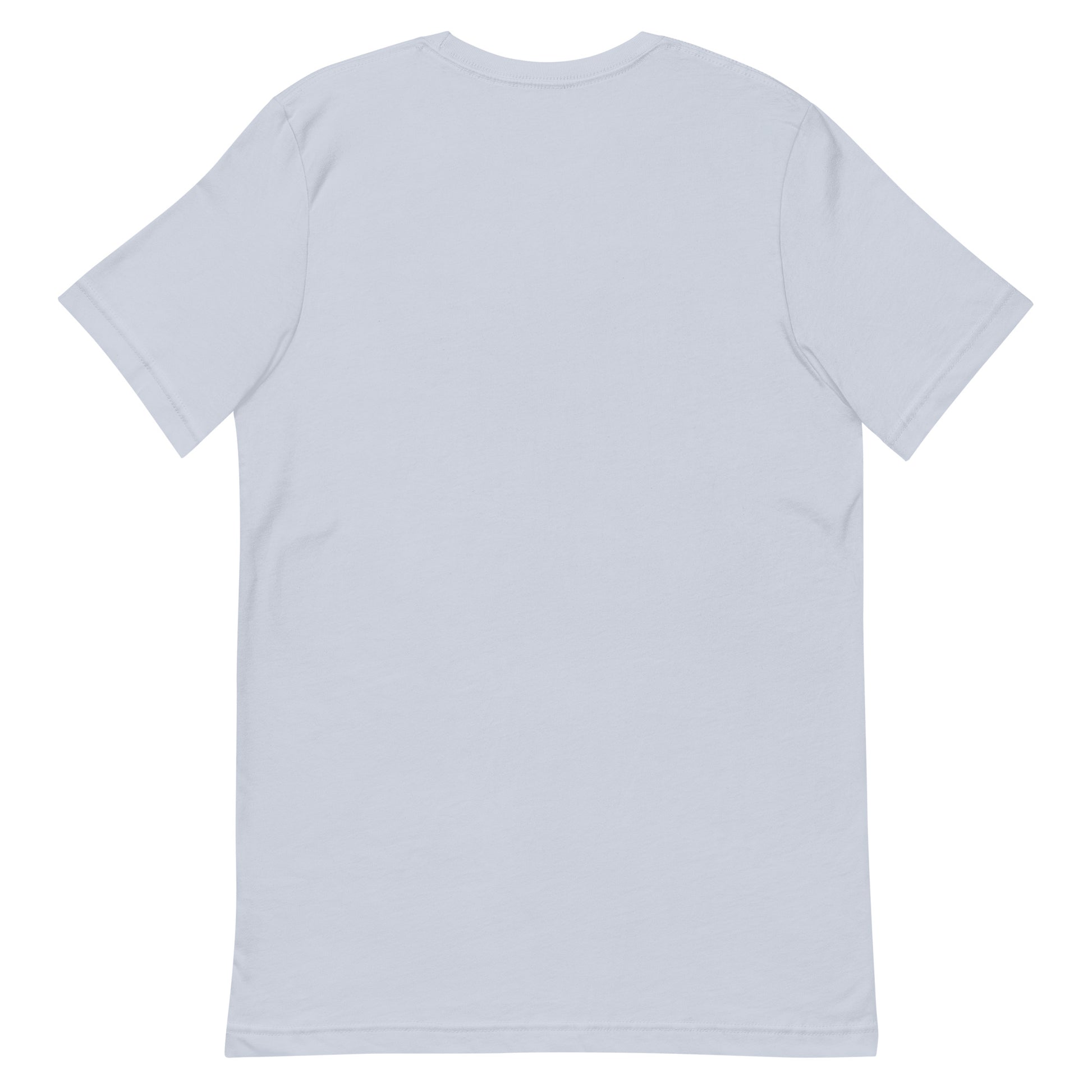 FALASTIN LIGHT BLUE COLONIZER TEE (BACK)