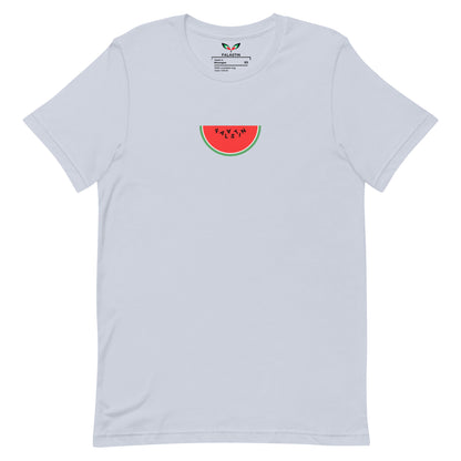 FALASTIN LIGHT BLUE WATERMELON TEE (FRONT)