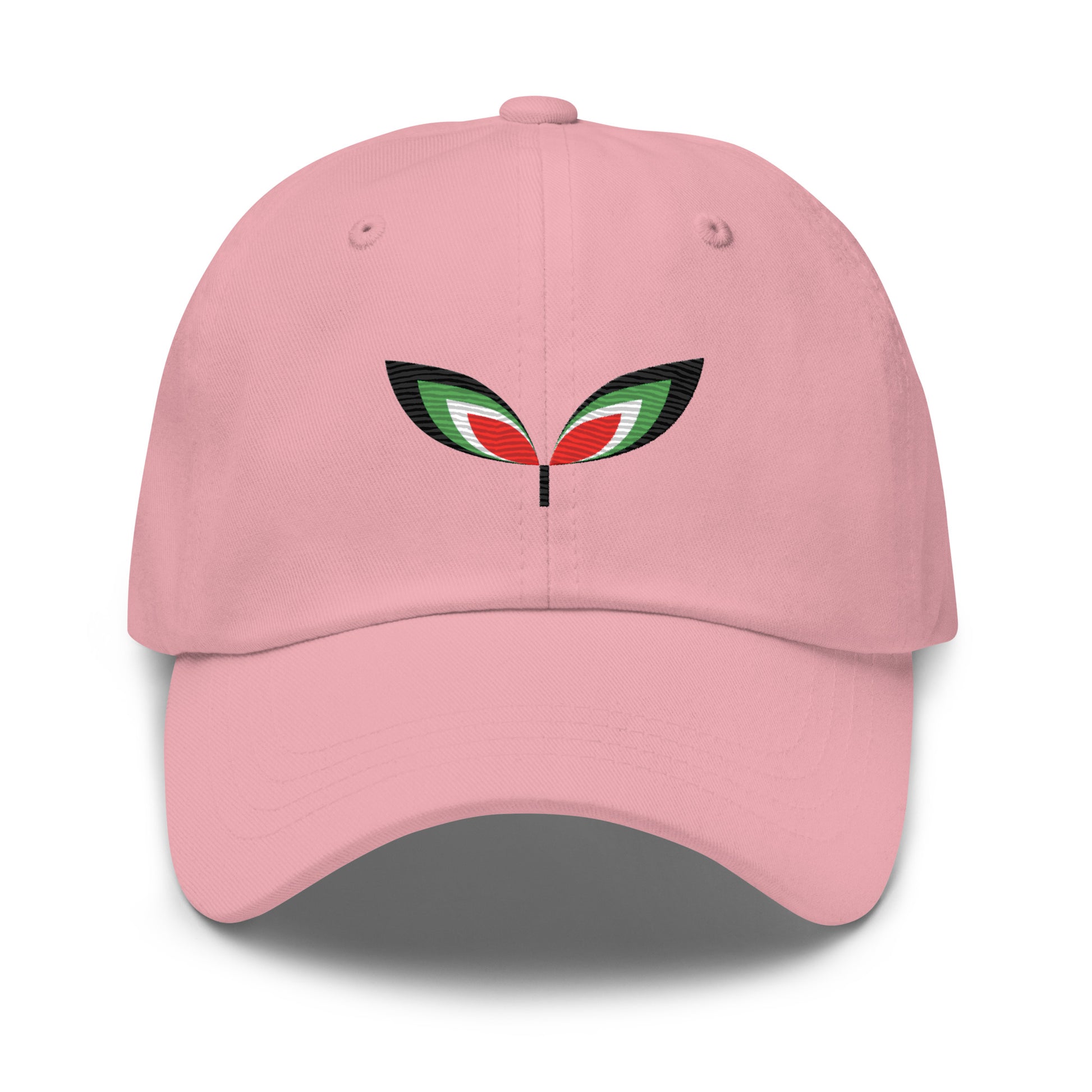 FALASTIN PINK CAP (FRONT)