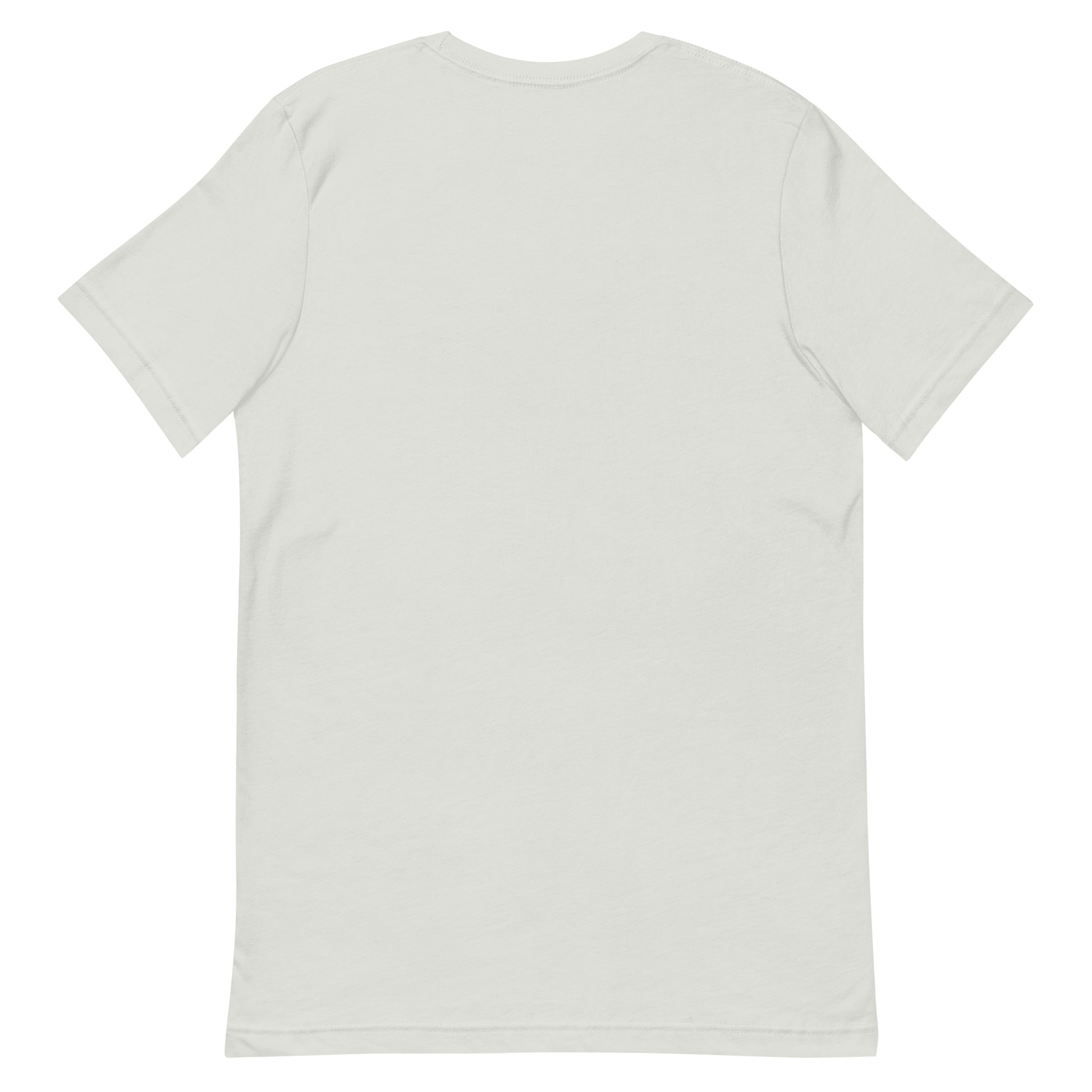 FALASTIN SILVER MCKILL TEE (BACK)